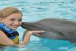 Dolphin Discovery – Swim with dolphins in Isla Mujeres, Cancun