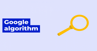 The Various Types Of Features Of Google Algorithm To Start Using Today