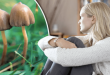 Avoid Common Mistakes When Ordering Magic Mushrooms Online