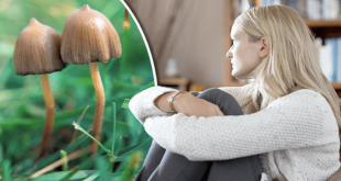 Avoid Common Mistakes When Ordering Magic Mushrooms Online