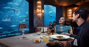 Best Dinner Experience in Dubai